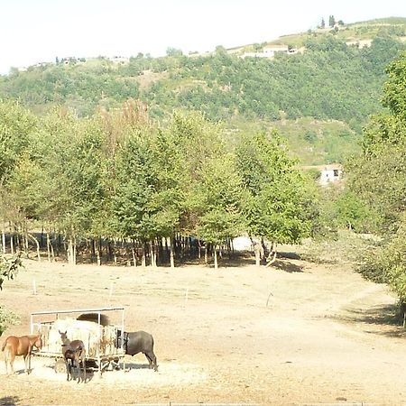 Il Grappolo In Langa Villa Monastero Bormida Ngoại thất bức ảnh